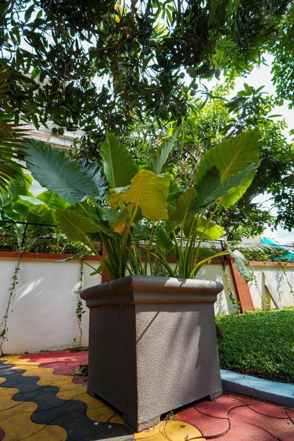Parudeesa - Heavenly- Luxurious Palace Look-Near Cbd - Kerala - India With Breakfast Kāladi 外观 照片